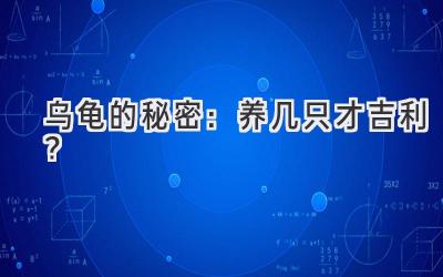 乌龟的秘密:养几只才吉利?-图片1