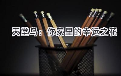 天堂鸟：你家里的幸运之花-图片1