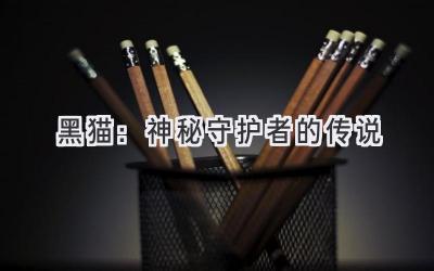 黑猫:神秘守护者的传说-图片1