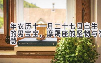 2019年农历十一月二十七日出生的男宝宝,摩羯座的坚韧与智慧-图片1