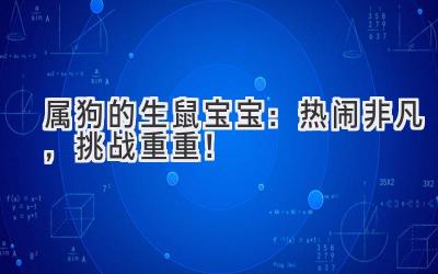 属狗的生鼠宝宝:热闹非凡,挑战重重!-图片1