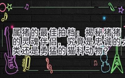 属猪的最佳拍档：揭秘猪猪的灵魂伴侣，究竟是忠诚的犬类还是勇猛的猫科动物？