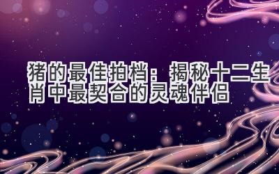 猪的最佳拍档：揭秘十二生肖中最契合的灵魂伴侣