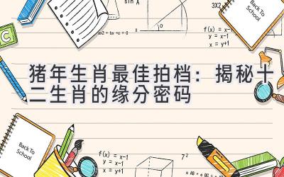 猪年生肖最佳拍档：揭秘十二生肖的缘分密码