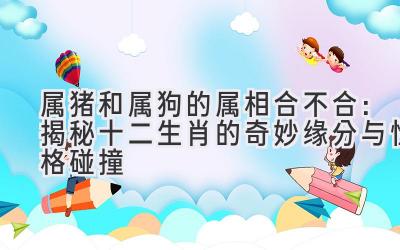  属猪和属狗的属相合不合：揭秘十二生肖的奇妙缘分与性格碰撞 