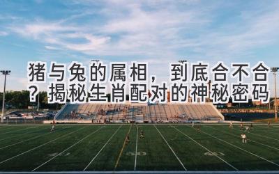  猪与兔的属相，到底合不合？揭秘生肖配对的神秘密码 