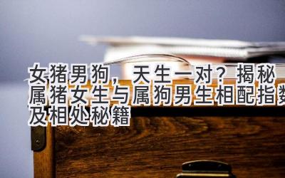 女猪男狗,天生一对?揭秘属猪女生与属狗男生相配指数及相处秘籍-图片1