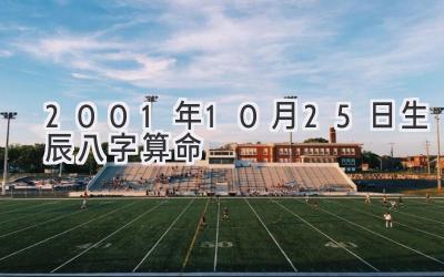 2001年10月25日生辰八字算命-图片1