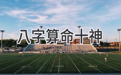 八字算命十神-图片1