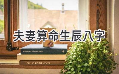 夫妻算命生辰八字