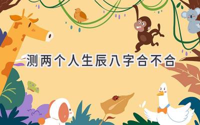 测两个人生辰八字合不合