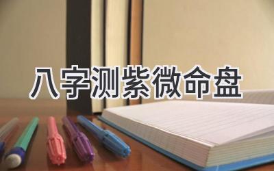 八字测紫微命盘-图片1