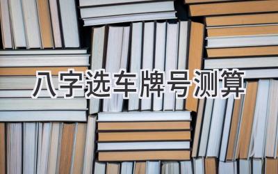 八字选车牌号测算
