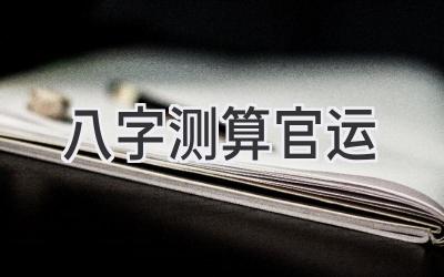 八字测算官运-图片1
