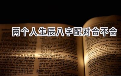 两个人生辰八字配对合不合-图片1