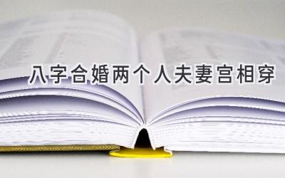 八字合婚两个人夫妻宫相穿-图片1
