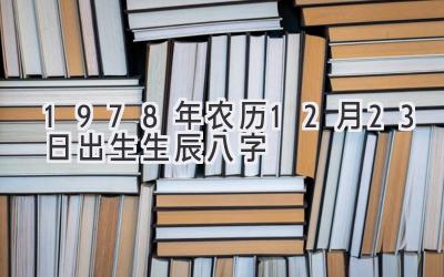 1978年农历12月23日出生生辰八字-图片1