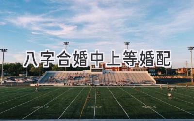 八字合婚中上等婚配-图片1