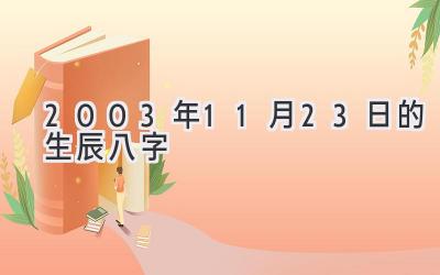 2003年11月23日的生辰八字-图片1