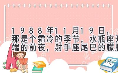 1988年11月19日，那是个霜冷的季节，水瓶座开端的前夜，射手座尾巴的朦胧，我降生。-图片1