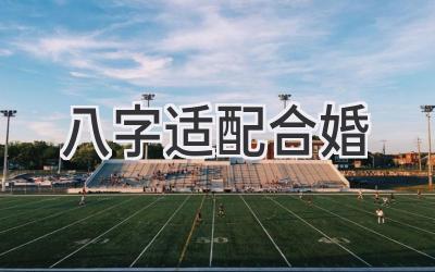 八字适配合婚-图片1
