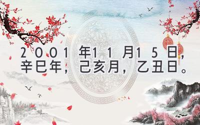 2001年11月15日，辛巳年，己亥月，乙丑日。-图片1