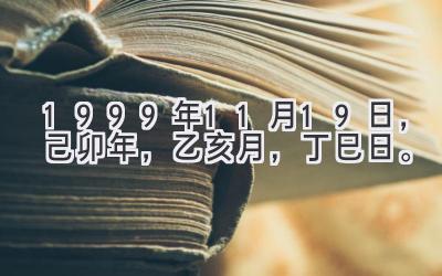 1999年11月19日，己卯年，乙亥月，丁巳日。-图片1