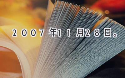 2007年11月28日。-图片1