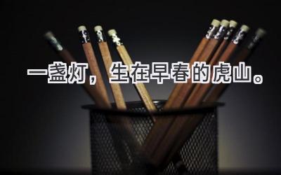 一盏灯，生在早春的虎山。-图片1