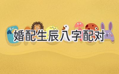 婚配生辰八字配对