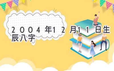 2004年12月11日生辰八字