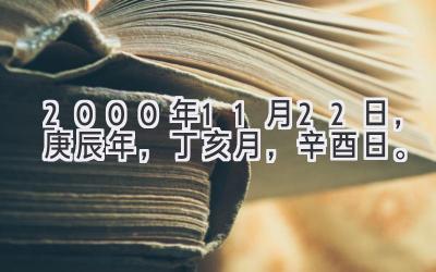 2000年11月22日,庚辰年,丁亥月,辛酉日。-图片1