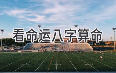 看命运八字算命-图片1